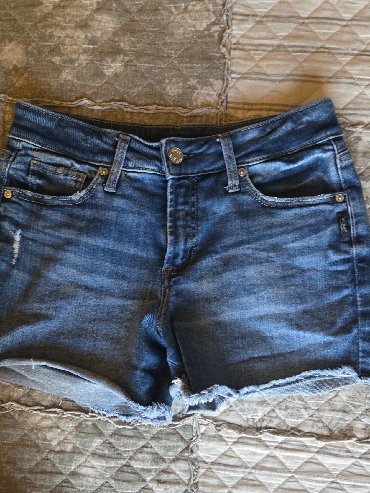 Silver Brand Denim Shorts26
